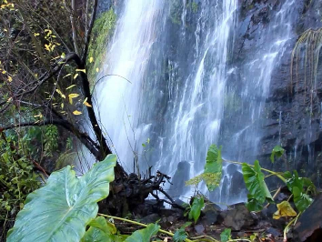 Cascata do Barbelote (waterfalls)