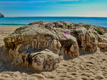 Praia da Mareta e seus Fósseis