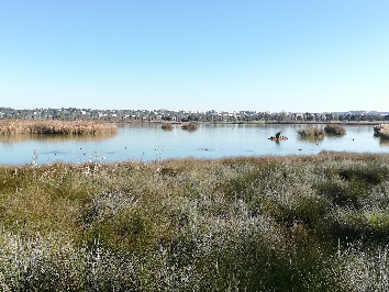Lagoa dos Salgados