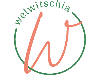 WELWITSCHIA - WOOD OVEN PIZZA RESTAURANT & BRUNCH